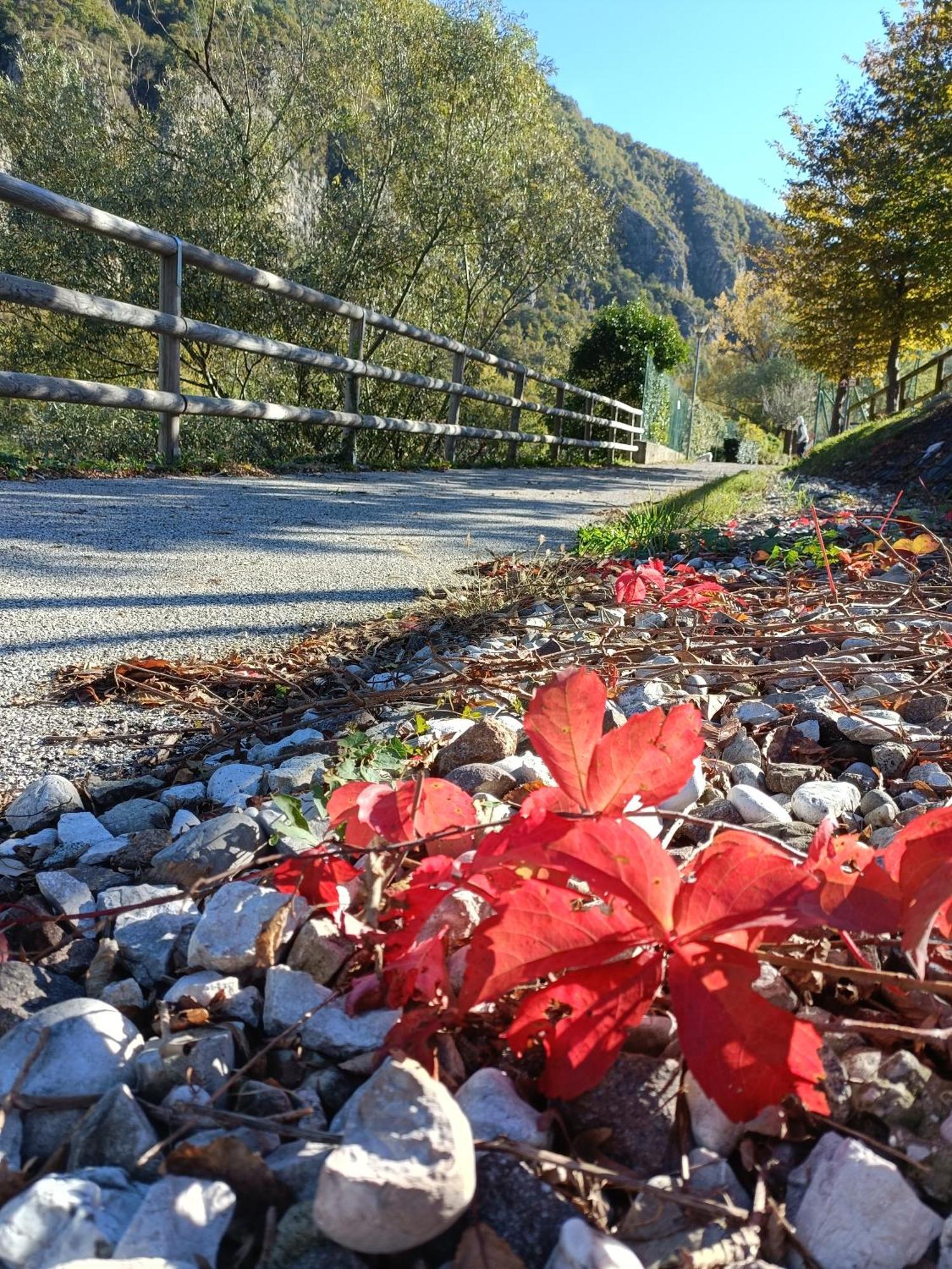 Borgo Lungofiume B&B Valbrenta エクステリア 写真